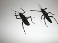 /album/aqua-terra-95/p3100043-jpg/