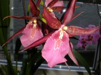 /album/aqua-terra-95/p8180043-jpg/